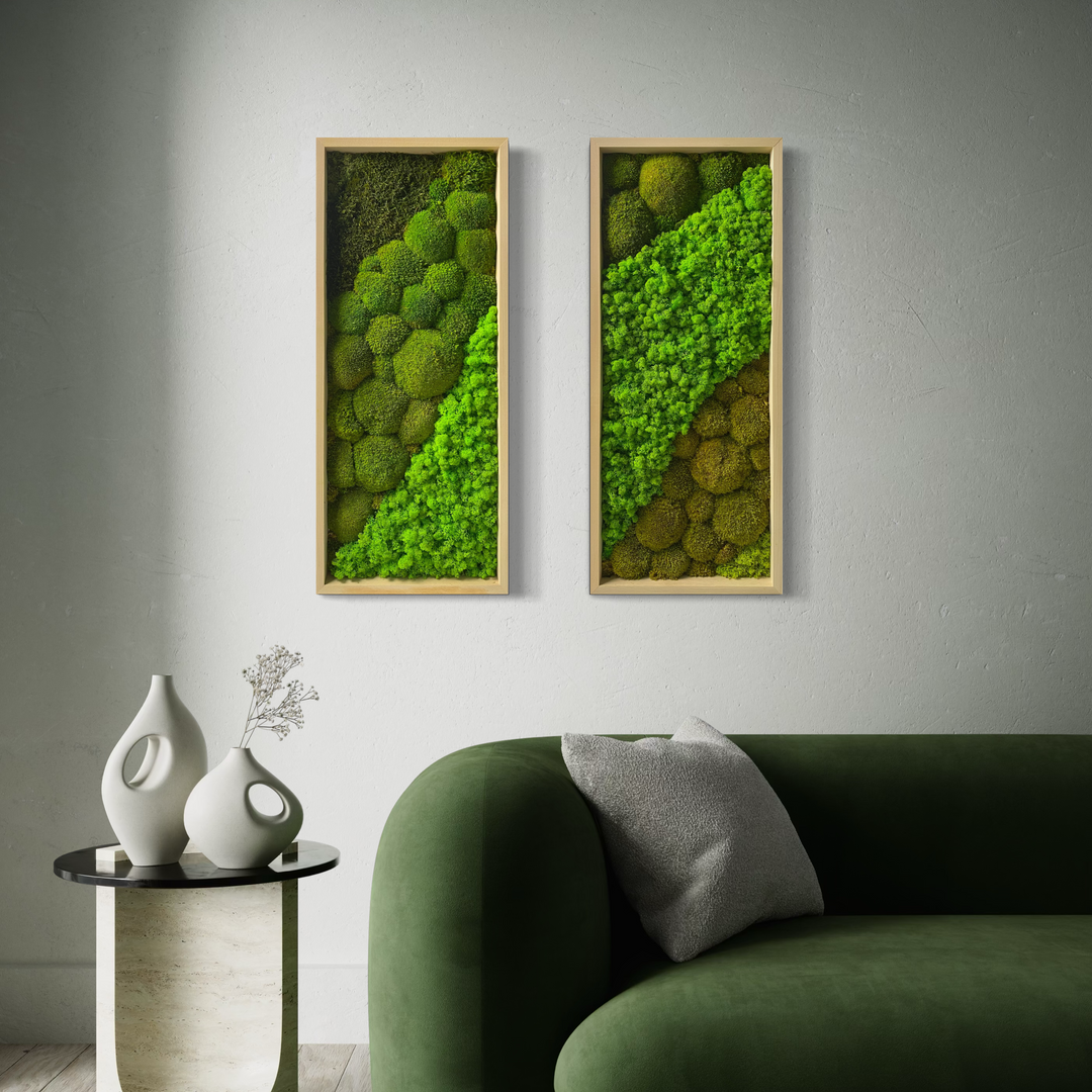 combination moss art picture