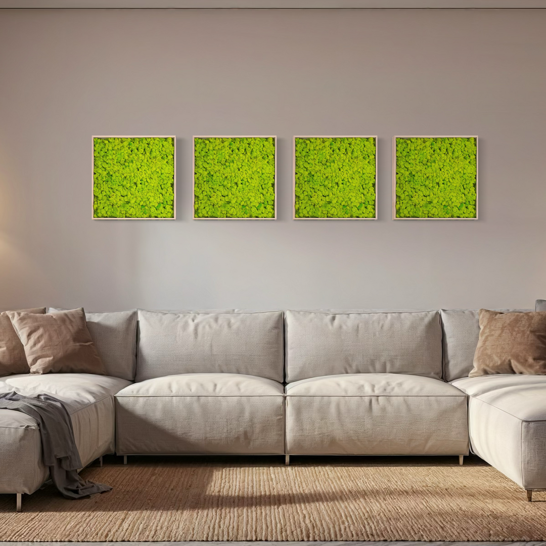 4 pcs of minimal and elegant moss art decor/pictures