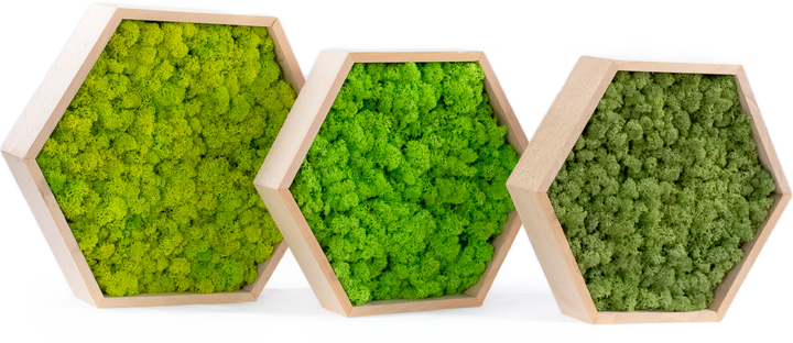 Hexagon hive products with no backhground photo