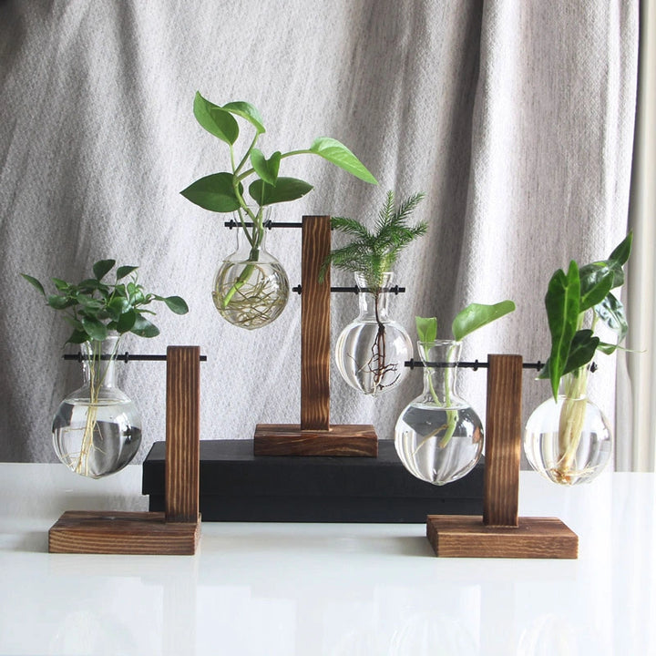 Hydroponic Terrarium Glass Vase with Wooden Stand for Plants