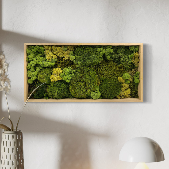 moss pictrue for small home apartment