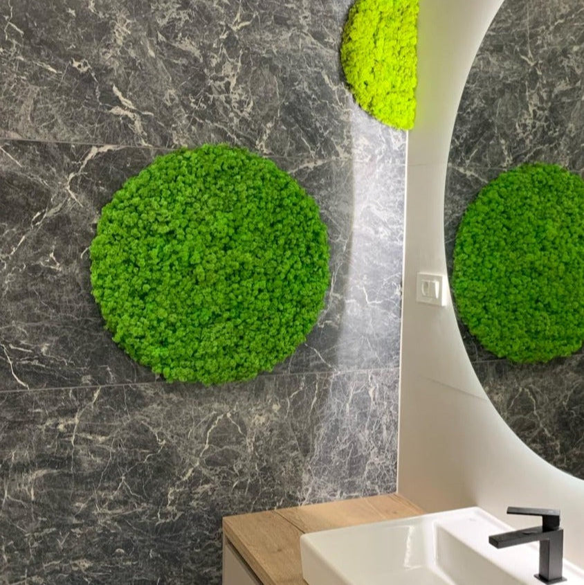 moss circles nature for bathroom living wall picture art 