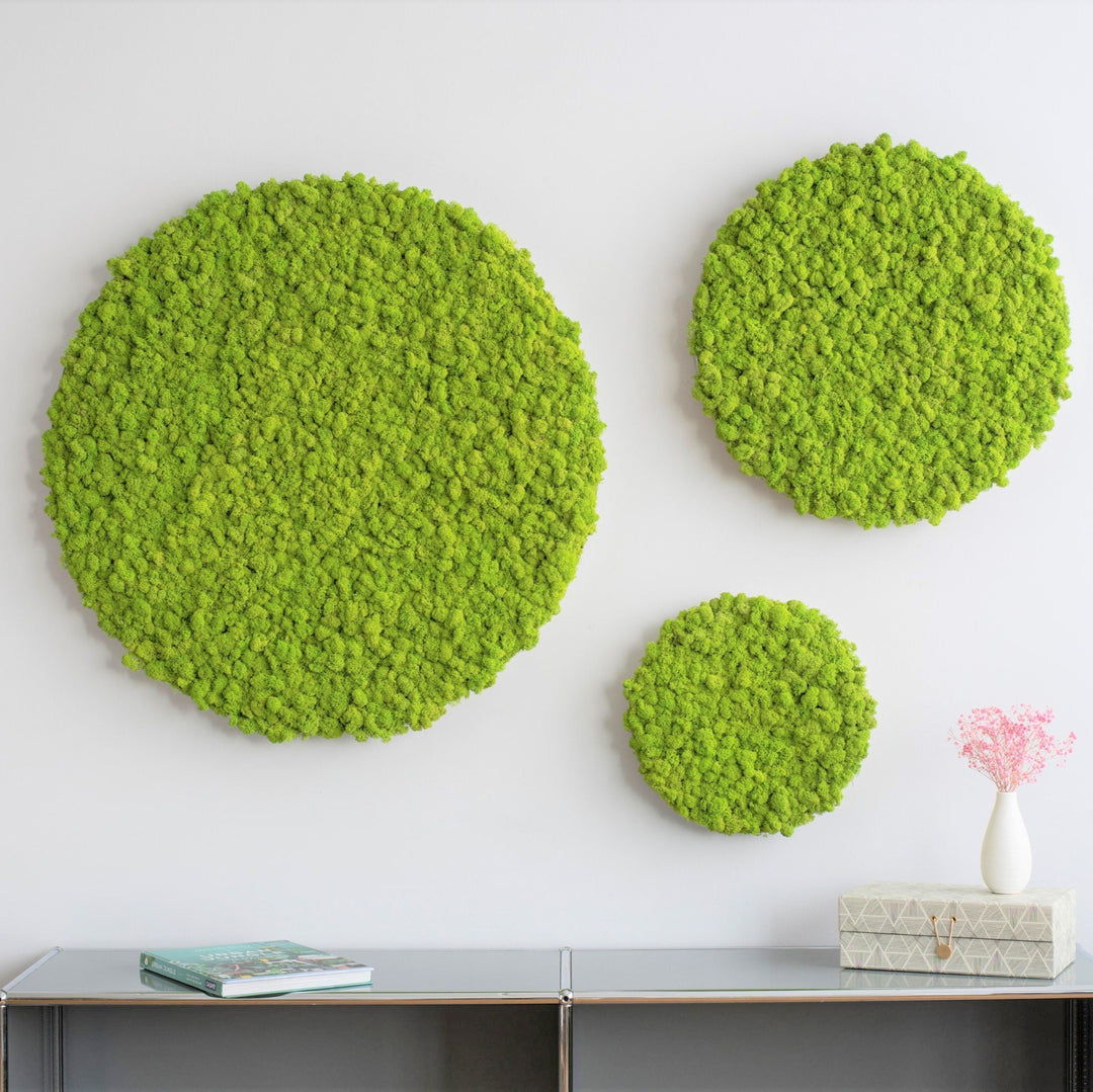 nature moss circles product for wall decoration ordered preserved moss