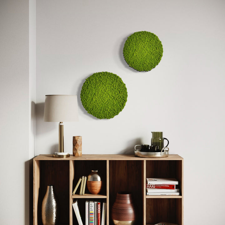 scandinavian moss from nature nature circle living walls picture with no frame living room space green up