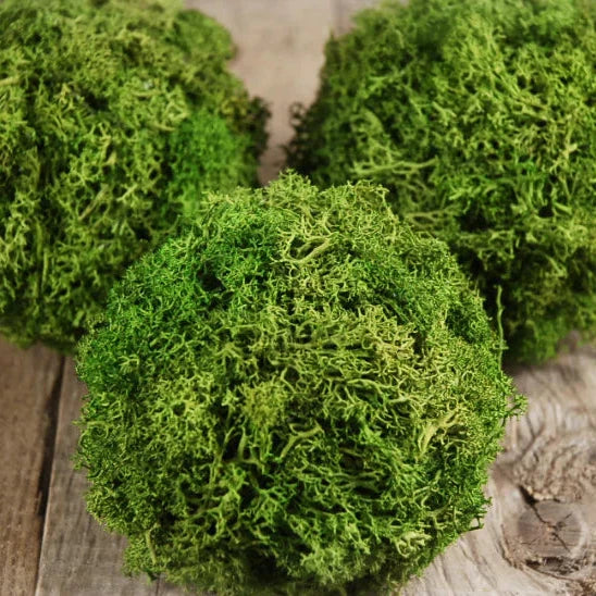 Moss balls - diy homemade art 
decor