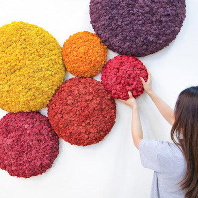 multi color moss circle wall decor for indoor zero maintenance