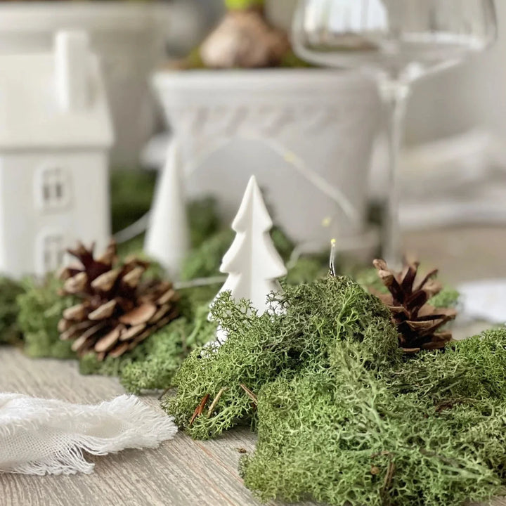 Moss diy table decor