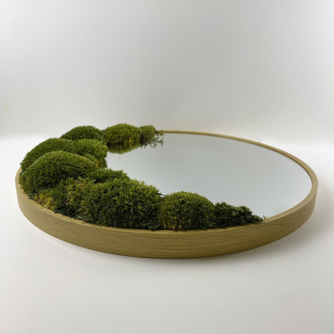 one sided wall moss mirror studio photo