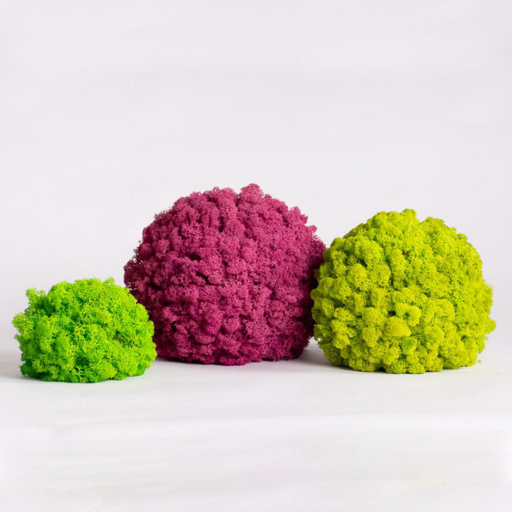 Multi colors of ball moss table decoration