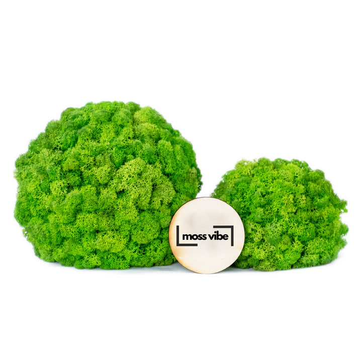 ball moss table decor