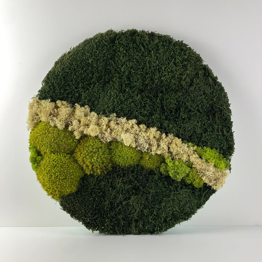 Premium moss circle