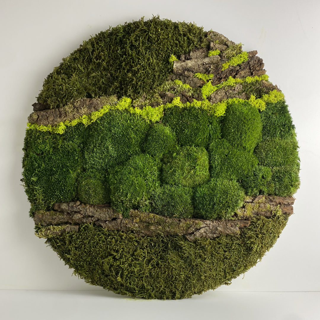 moss circle picture for wall home decor nature wooden green 