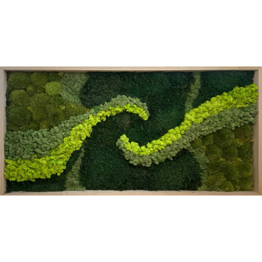 wave imitation moss art picture - 3 different types of moss