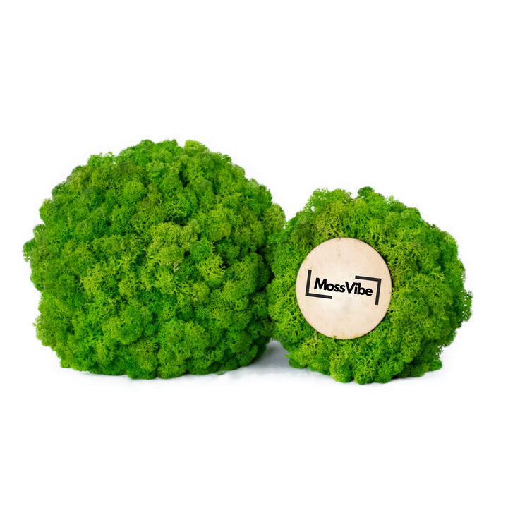 grass green table decor moss ball