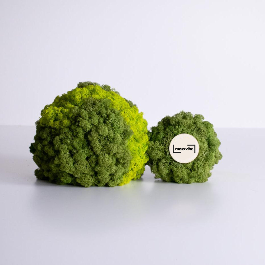 Table decor moss ball decor