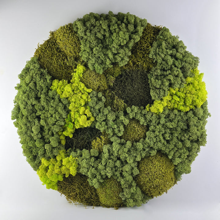 mixed moss circle for wall