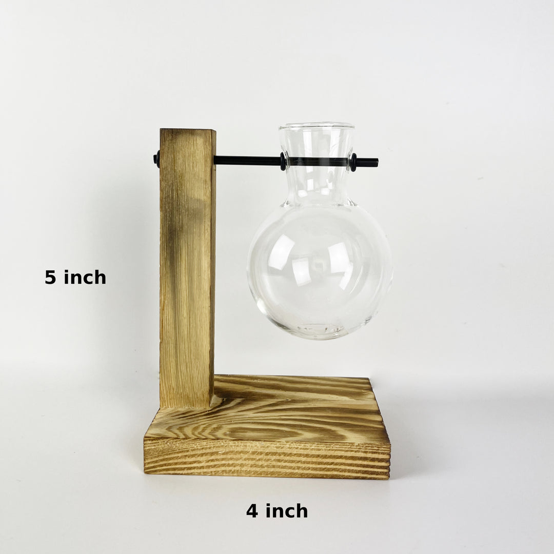 Hydroponic Terrarium Glass Vase one bulb type