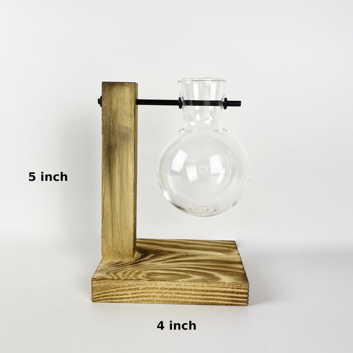 Hydroponic Terrarium Glass Vase one bulb type