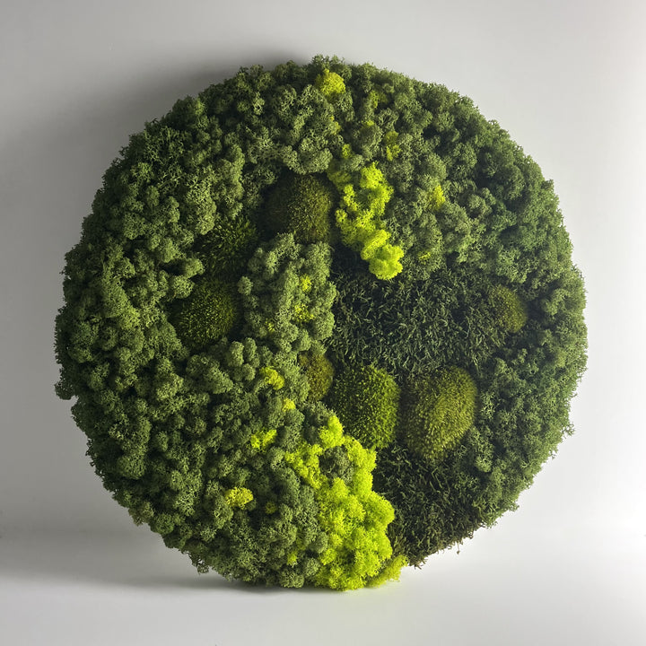 moss circle with no frame for wall 