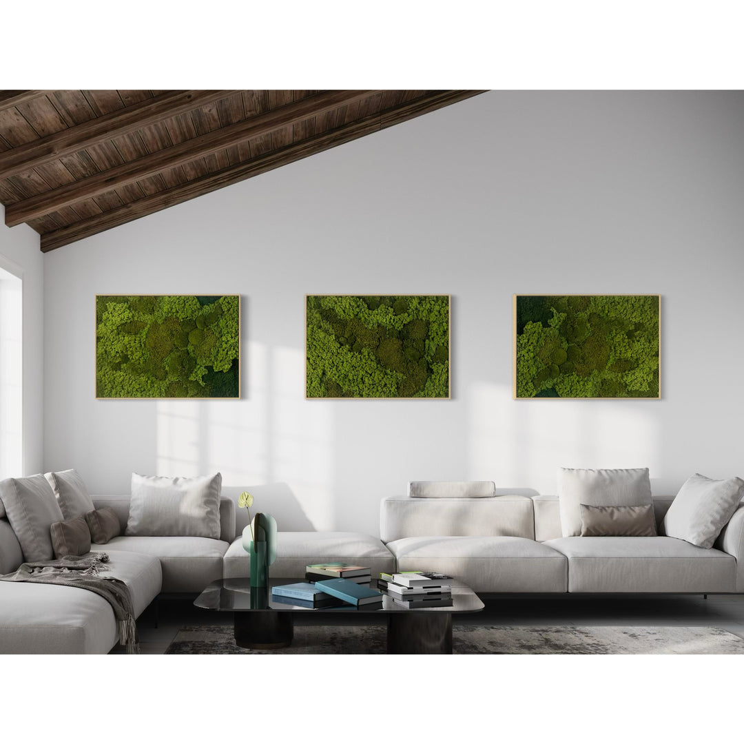 living room with zero maintenance green nature pictures out of nature moss lichen