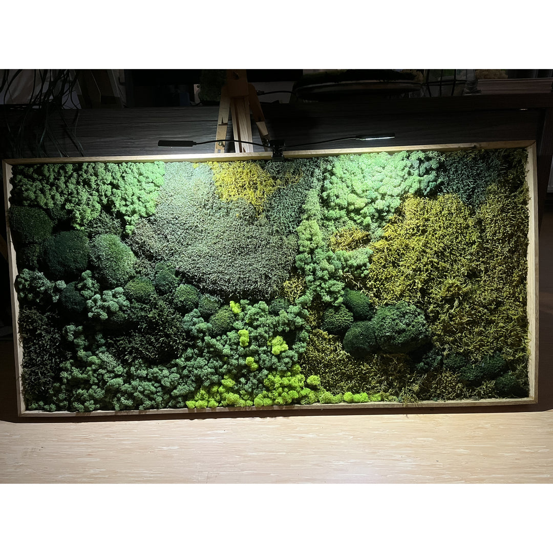 big framed moss picture with 2 tip ambient moss light - making such a good effect with bright green colors and shadows.