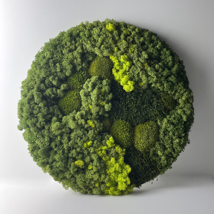 Premium "spring forest" moss circle