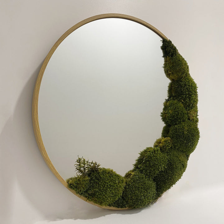 wall moss mirror studio photo, one sided