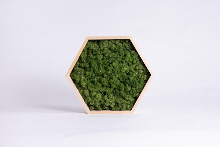 Hexagon grass green moss product 