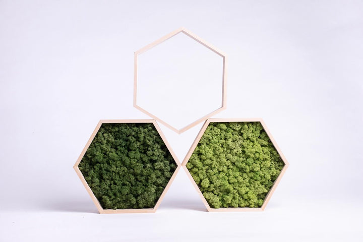 Hexagon hive products - studio photos