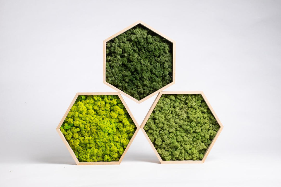 3 pieces of hexgon hive product for wall decor