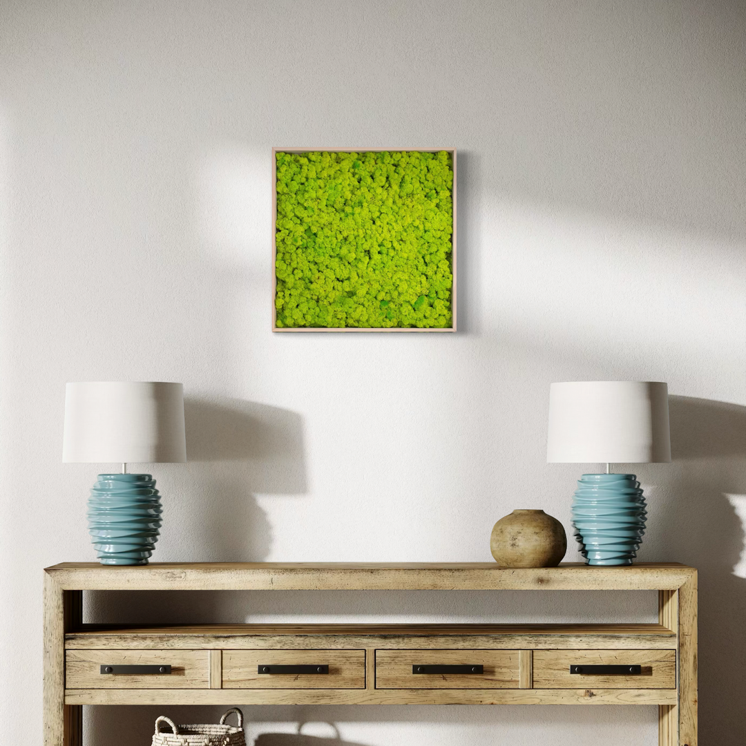 sqaure moss picture - wall decor