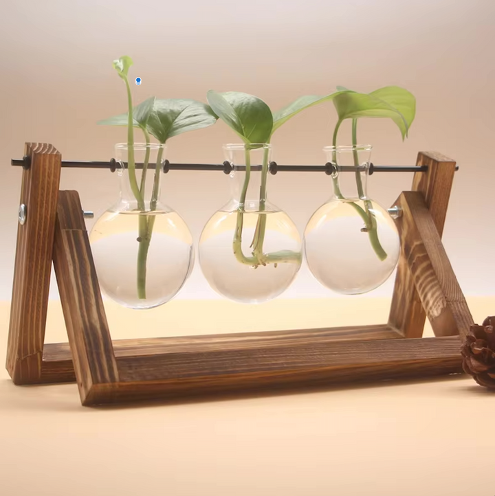 Hydroponic Terrarium Glass Vase with Wooden Stand for Plants