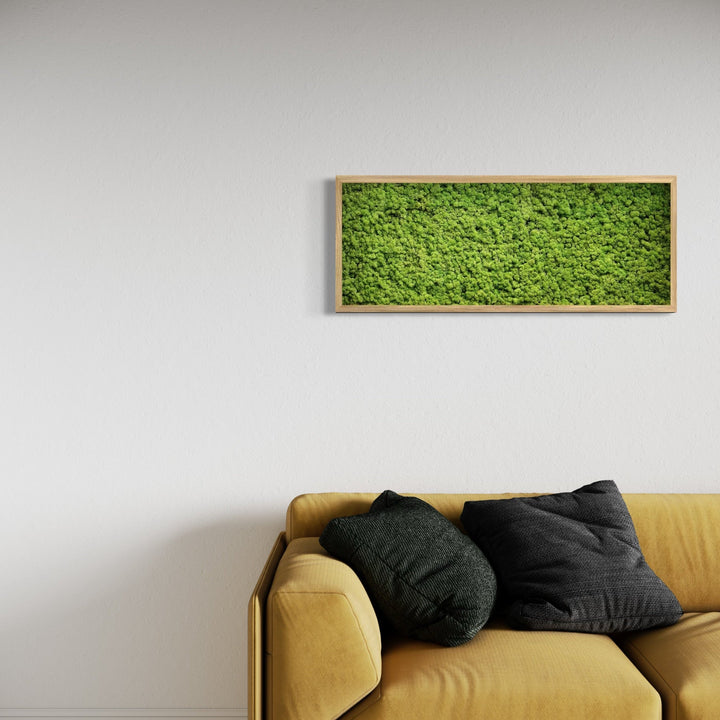 moss art - wall decor in combination with sofa