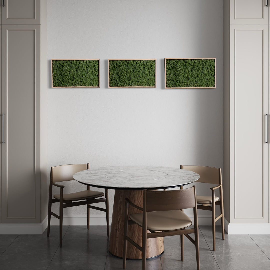 3 pcs of minimal and elegant moss art decor/pictures. Grass green