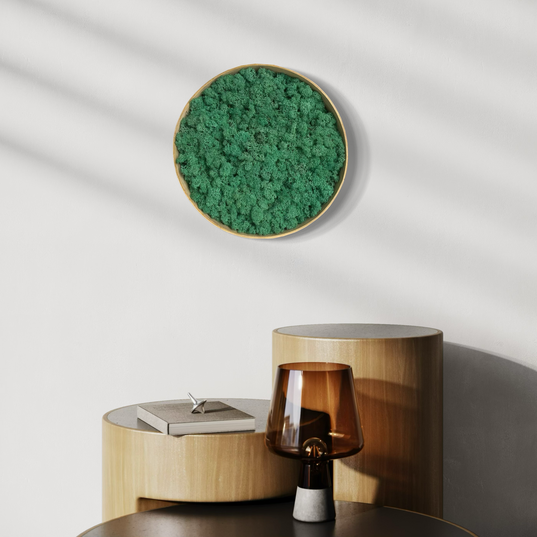 nature moss circle art product with  frame green all colors nature preseved no maintainance