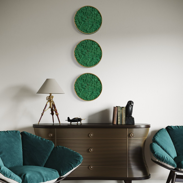 nature moss circle art product with  frame green all colors nature preseved no maintainance living room