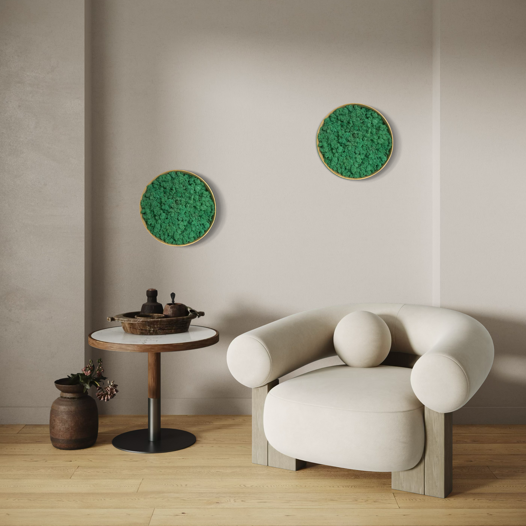 nature moss circle art product with frame green all colors nature preserves no maintenance