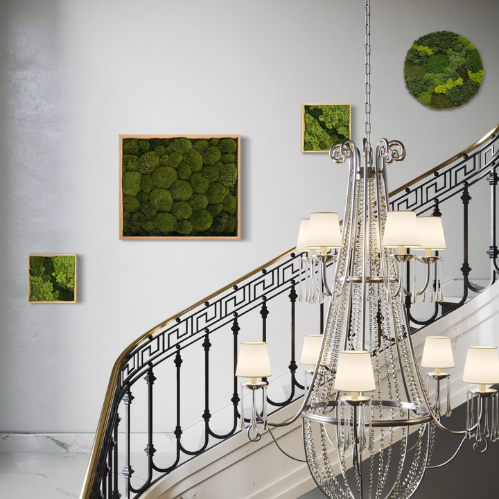 multiple combination of moss art in elegant and fancy staircase. Greening up