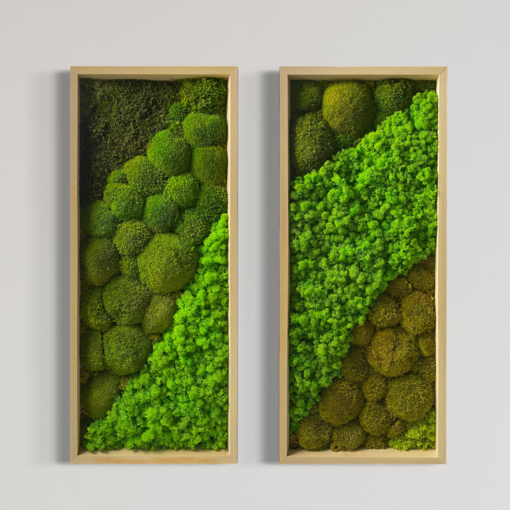 Moss "green twin" pictures - bundle, 2 pcs