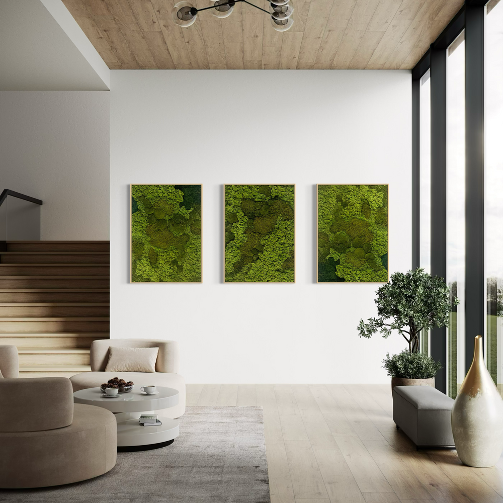 living room and hall space decor green plants moss zero maintenance visual art