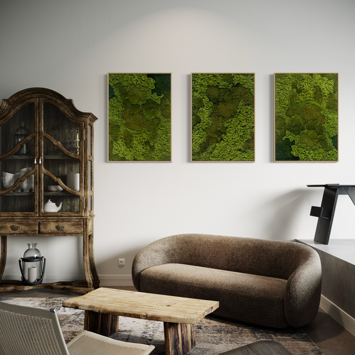 living room green moss decor pictures 3 pieces