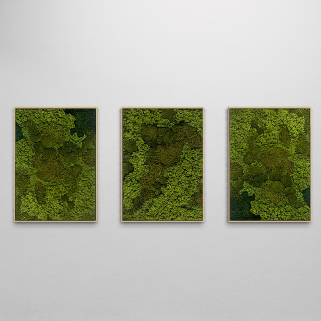 bundle moss wall decor 3 pcs nature vibe with wooden frame