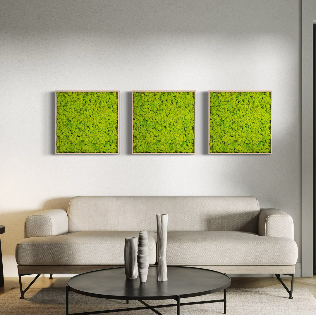 3 pieces of square moss art picture - elegant in minimal style