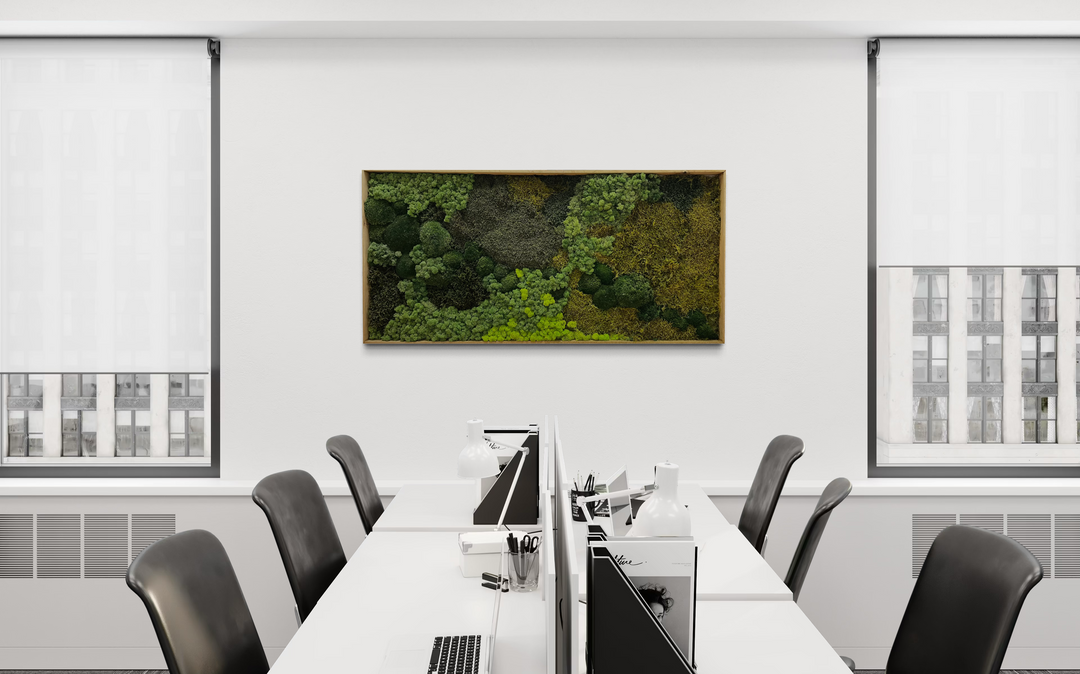 moss wall picture in office room. Anti stress, greenery