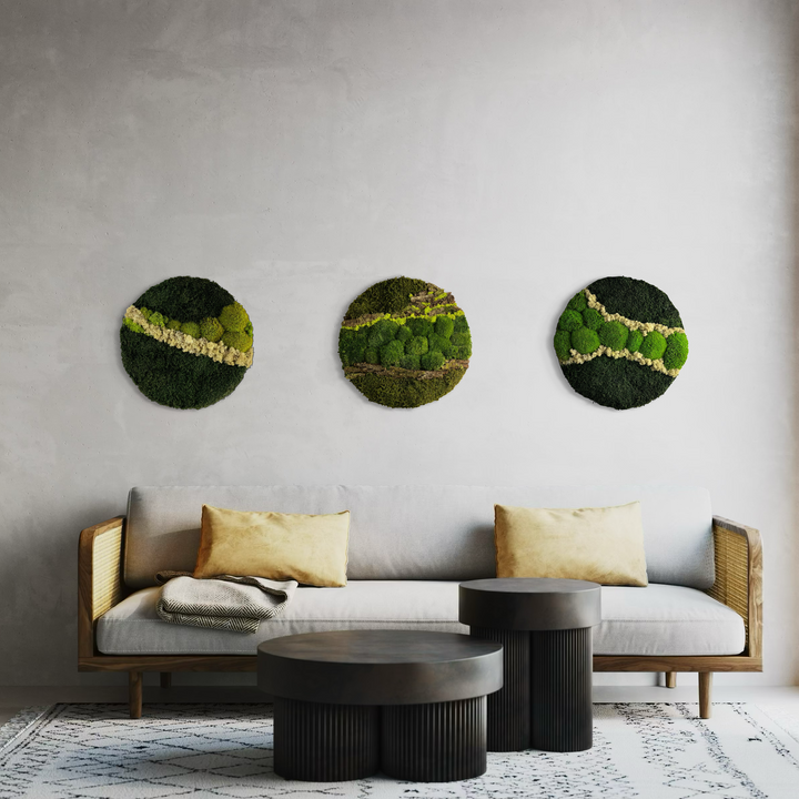 Nature moss indoor design wood forest vibe combination of 3 diferent type