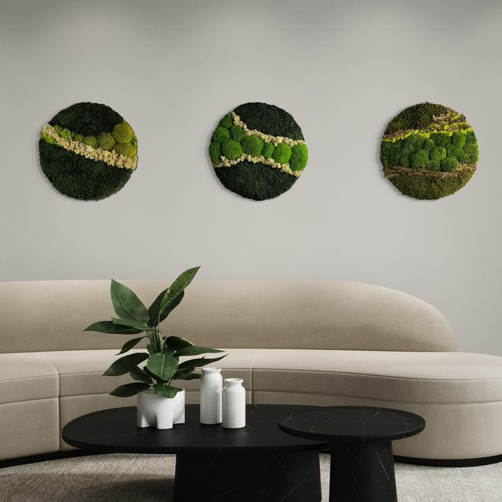 indoor small green and moss decor