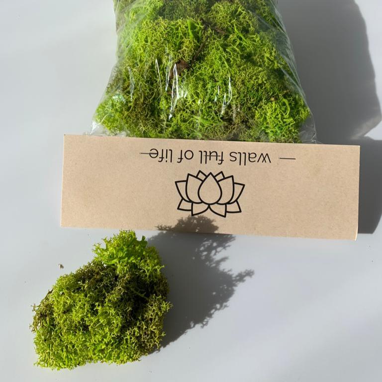 decorative moss package DIY preserved wall moss art