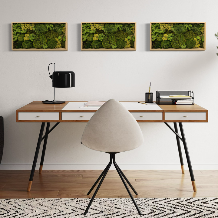 3 pieces moss wall art on the wall above home office desk for less stress
