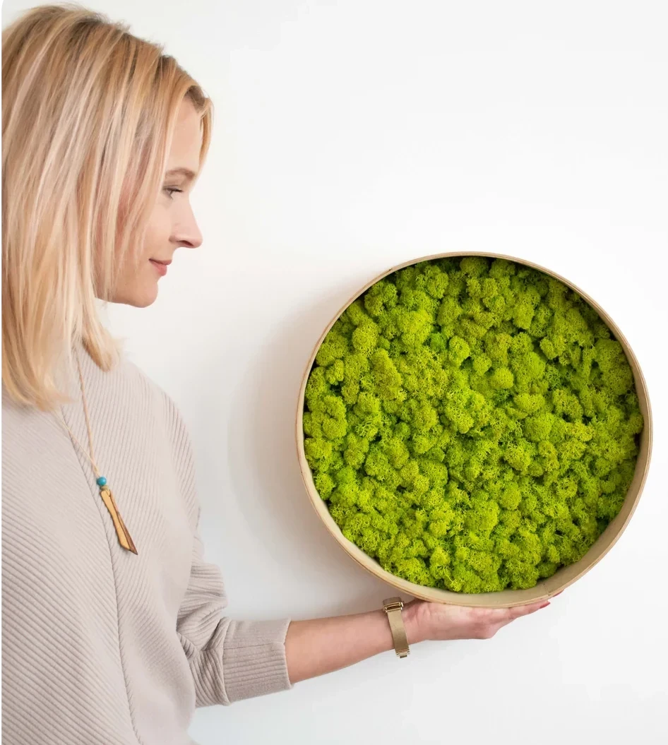 Sandra with small framed green moss product for minimal design in house 