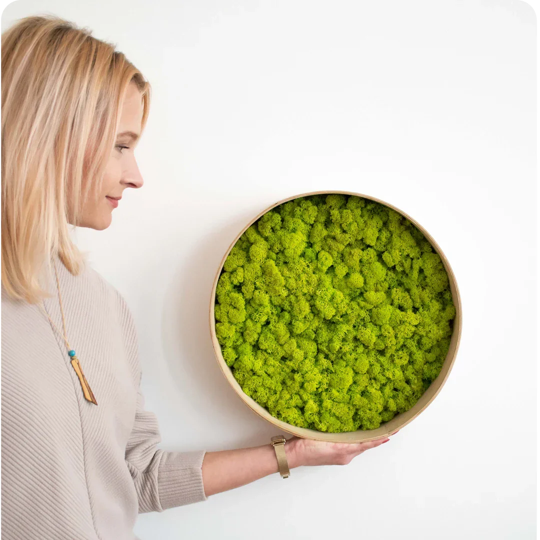 nature moss circle art product with female model sandra frame green all colors nature preseved no maintainance